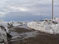Alaska 2008 114